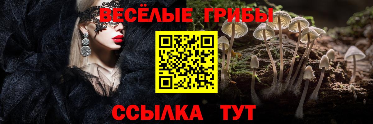 Галлюциногенные грибы GOLDEN TEACHER  Вход с VPN  Геленджик 